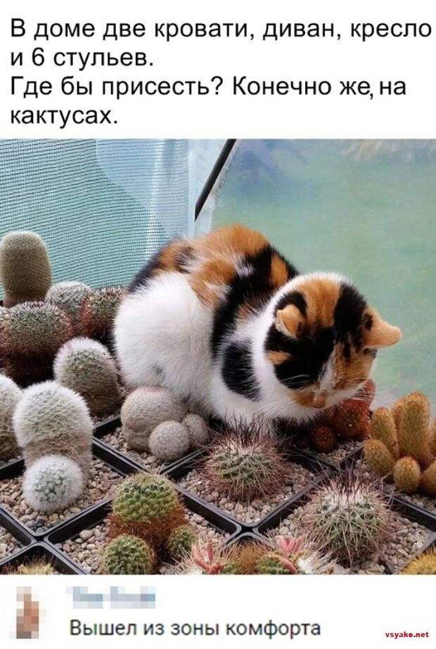 www.vsyako.net