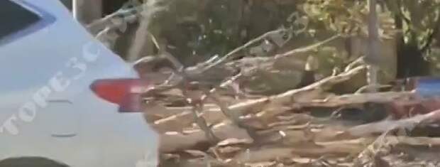 Video: Видео от Донецкая группа новостей|Донецк.ДНР