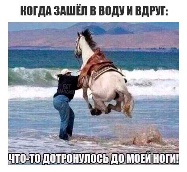 Картинки с глубочайшим жизненным смыслом