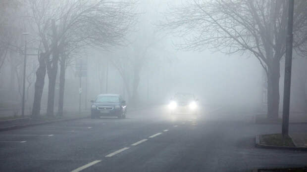 В Москве и Подмосковье ожидается туман – водителей и пешеходов призывают быть осторожными и внимательными