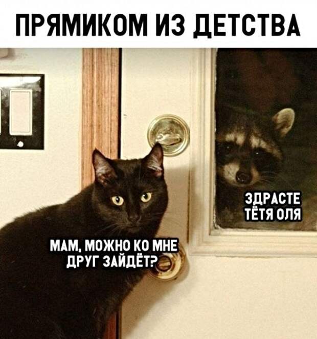 Анекдоты, истории и картинки с надписями