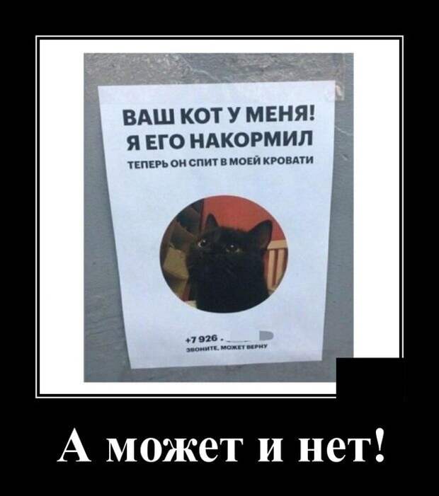 Демотиваторы (20 фото)