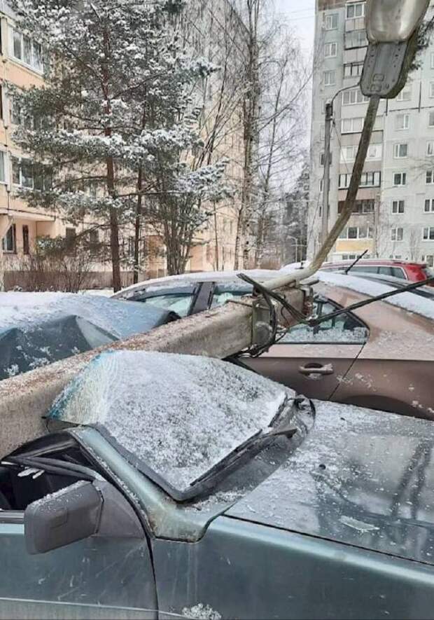 😂 В сети вирусится ЛУЧШЕЕ видео зимы-2026