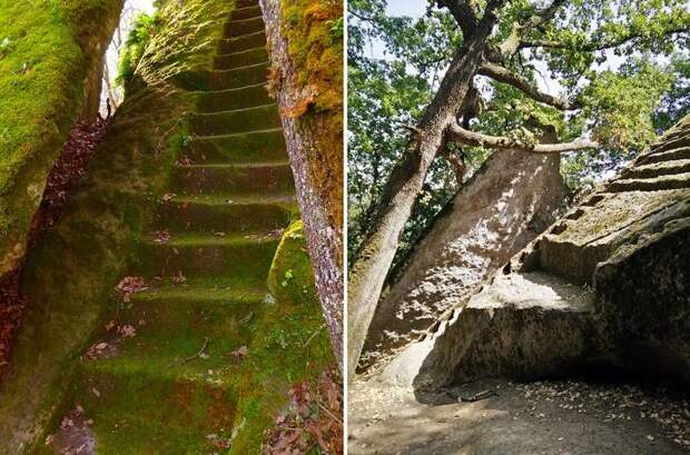 Таинственные лестницы, затерянные в лесных дебрях
