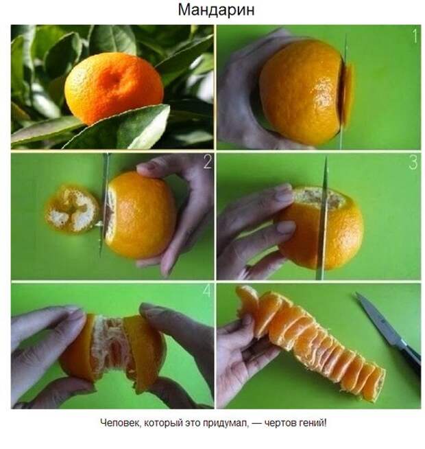 Продукты, которые мы неправильно резали всю свою жизнь Продукты, которые мы неправильно резали всю свою жизнь