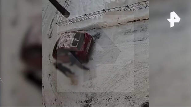 Петербуржцы избили пенсионерку за замечание о выгуле собак на детской площадке