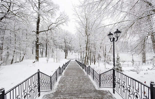 До конца суток 9 января в Тульской области ожидается сильная метель