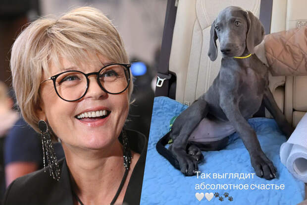 Актриса Юлия Меньшова рассказала, что завела домашнего питомца