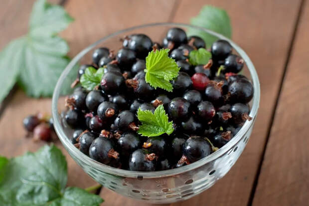 Малина захватит участок, а груша отнимет еду: враги смородины, которые портят урожай