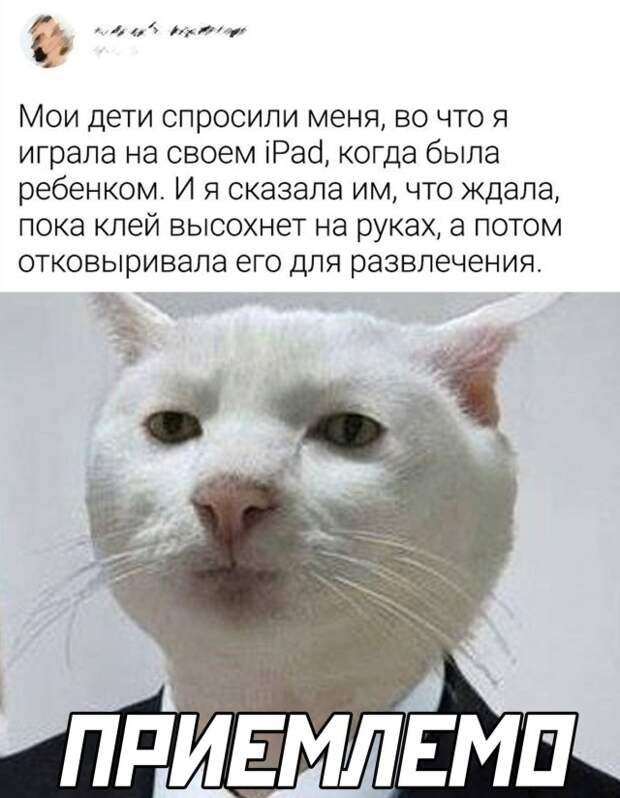 Смешные картинки 8 ноября 2021 года