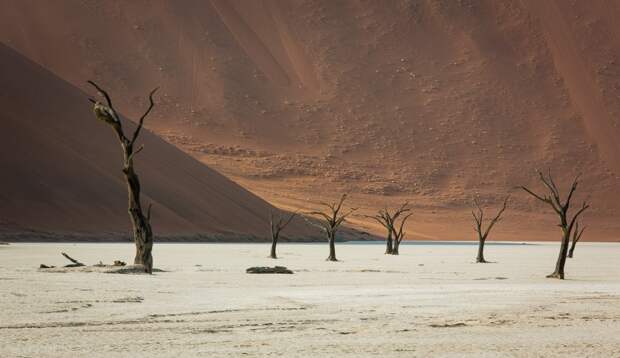 Sossusvlei10 Африка. Намибия. Пустыня Намиб   Соссусфлей