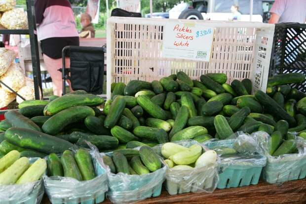 В России цены на огурцы снизились на 8% в марте