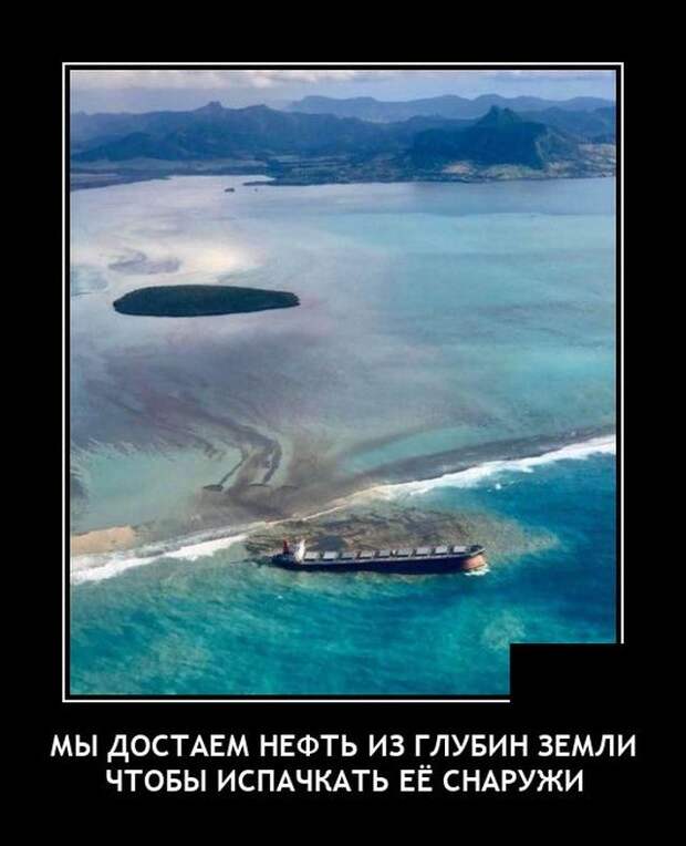 demotivatory-demotivator-smeshnye-demotivatory-demotivator-so-smyslom