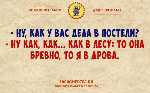 Авторизация пройдена! Подборка анекдотов для тех, кто считает себя взрослым