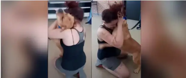 Девушка 5 лет искала пропавшую собаку, а потом решилась взять пса из приюта