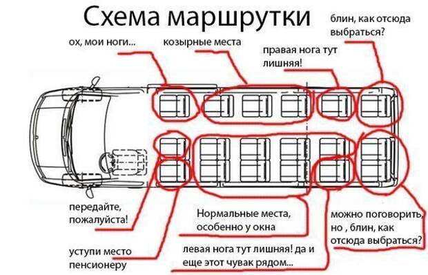 Приколы за рулём