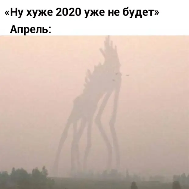 Думаю думаю 2020. Мемы мемы 2020 года. А 2020 год был не плох. 2020 Год хуже не будет. 2020 Год удался.