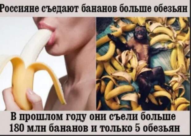 Юмор на любителя Юмор на любителя