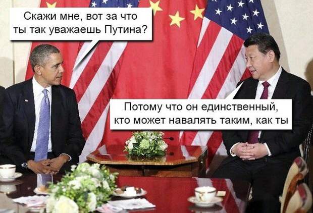 Путин. Новые приколы интернета
