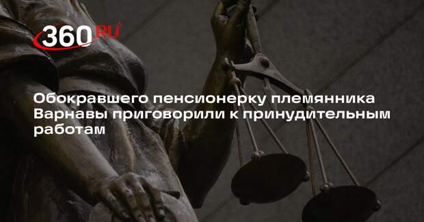 Обокравшего пенсионерку племянника Варнавы приговорили к принудительным работам