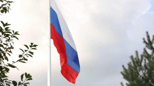 «Сражается со злом»: журналист из США призвал свободолюбивые страны поддержать Россию