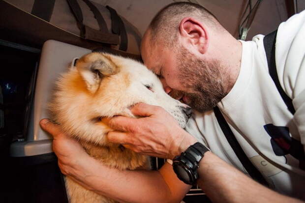 IMG210496696_n_600 IMG210496696_n_600