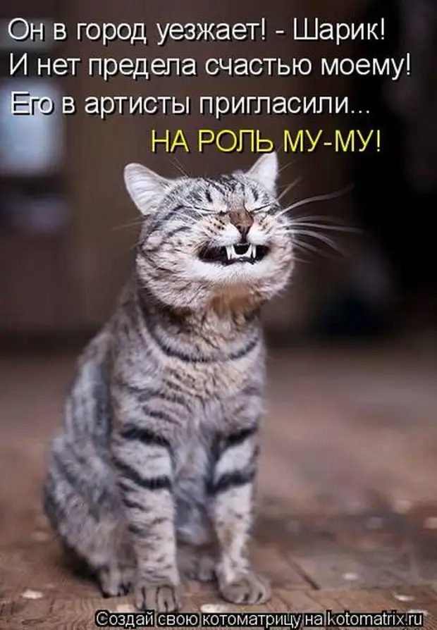 Лучшие котоматрицы