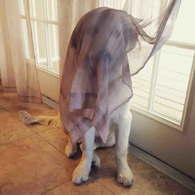 ?