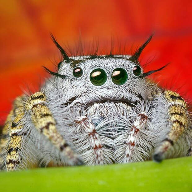 9 мысленных экспериментов, над которыми придётся основательно пораскинуть мозгами