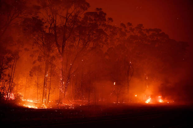 В Австралии бушуют лесные пожары