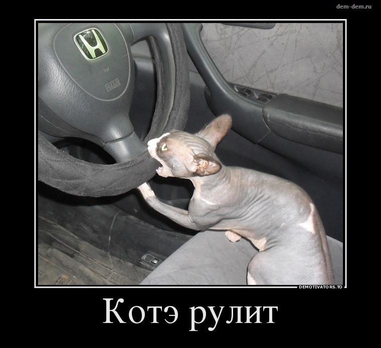 Свежие демотиваторы дня от 14-07-2014
