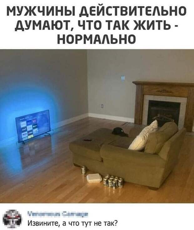 Смешные и познавательные картинки