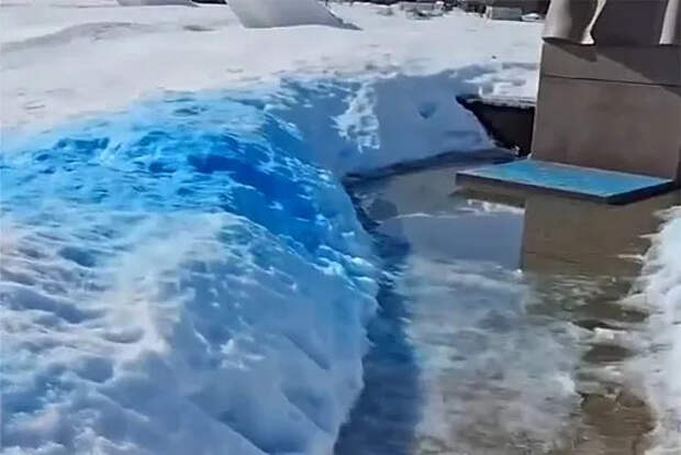 Миронов: у семьи после гендер-пати у памятника Жукову не было злого умысла