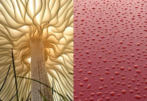 Визуальное удовольствие: 22 фото, на которых все идеально