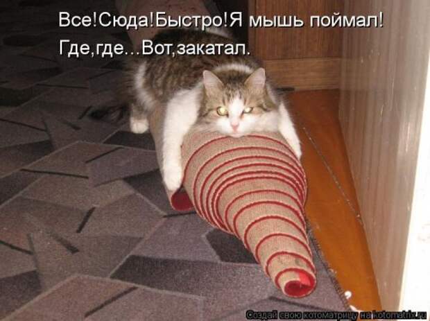 Смешная котоматрица