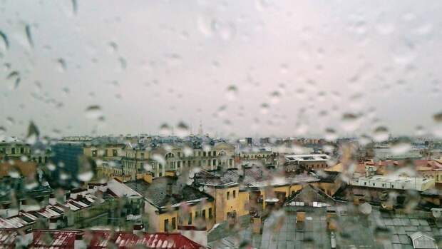 Мокрый снег и дождь ожидаются в Петербурге