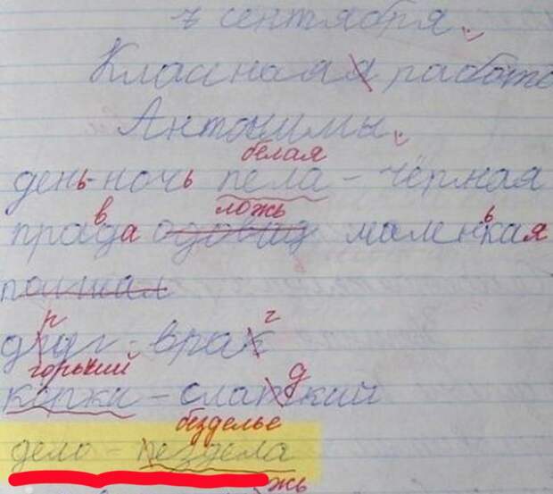 15 перлов из школьных тетрадей дети, перлы, школа