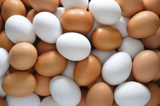 На полках магазинов можно найти яйца на любой вкус: белые и коричневые, крупные и мелкие, диетические и столовые / Фото: mсв.lifter.com.ua