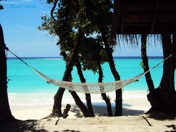 25 мест для гамака hammock17 25 мест идеальных для того, чтобы полежать в гамаке