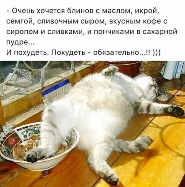 Смешные комментарии. Подборка chert-poberi-kom-chert-poberi-kom-59560217102020-17 картинка chert-poberi-kom-59560217102020-17