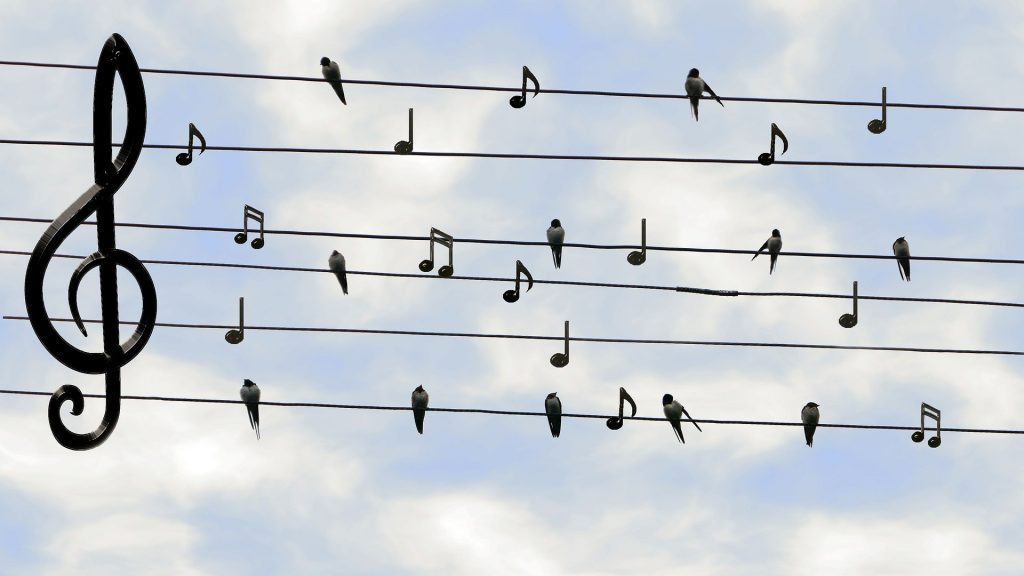 birds-2672101_1920 alt