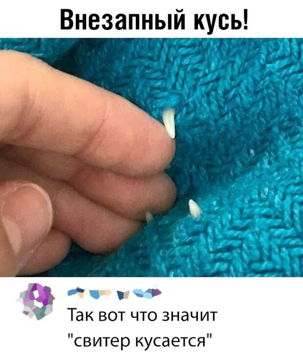 Подборка прикольных картинок
