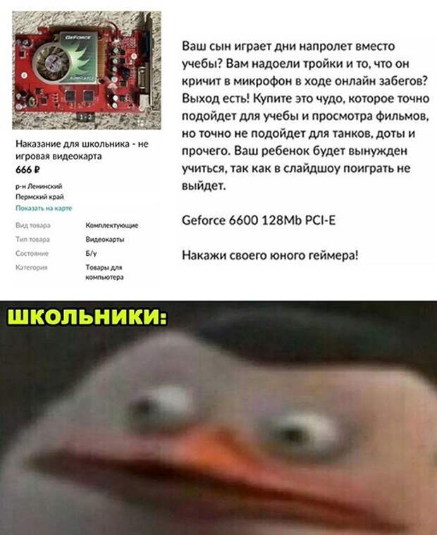 Смешные и познавательные картинки