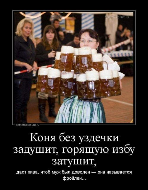 Прикольные демотиваторы (13 фото)