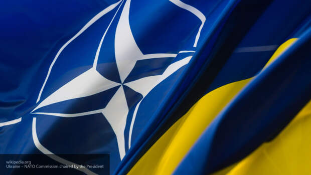 Украина заявила о своем намерении помочь "победить мировой голод"