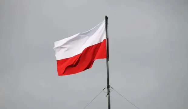 Польша готова отдать все свои МиГ-29 в распоряжение правительства США