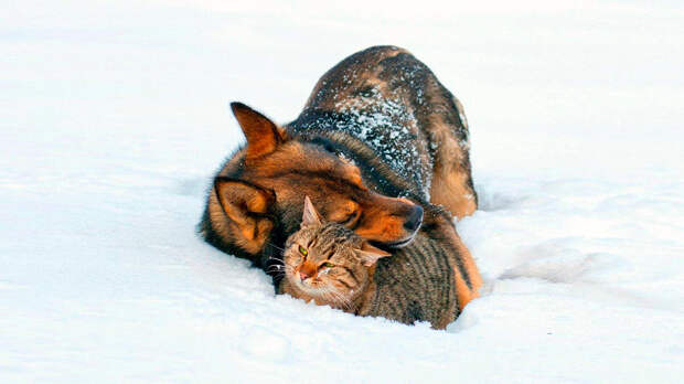 источник фото: pinimg.com