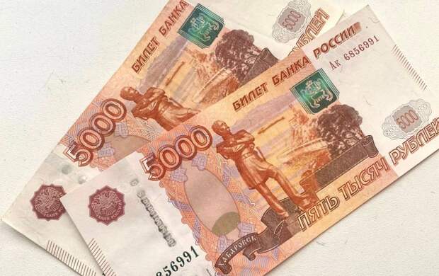 На Южном Урале выявили мошенничество на 121 млн рублей