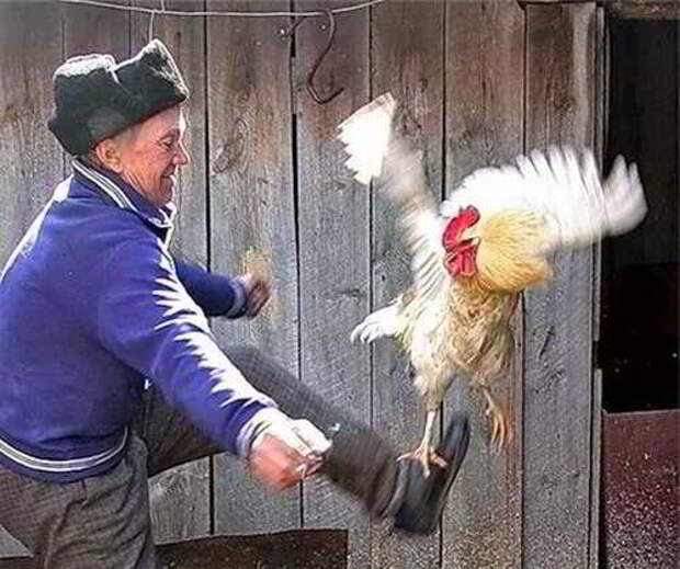 Почти летит
