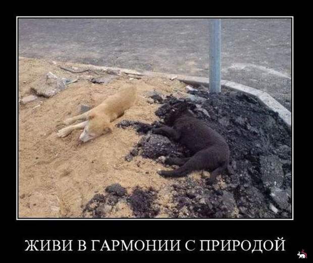 Демотиваторы и мотиваторы. Демки понедельник. Демотиваторы и мотиваторы. Демки понедельник.